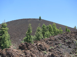 Parque del Teide 
