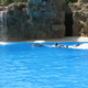 Loro Parque 