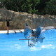 Loro Parque 