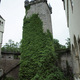 wieża zamku