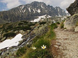 Wysokie Tatry