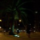 piekne palmy w nocy wszystkie podswietlane 