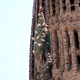 298145 - Barcelona Sagrada Familia