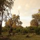 Chobe, Botswana