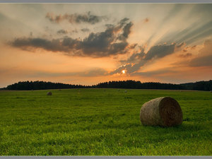 Zawidowskie pejzaże