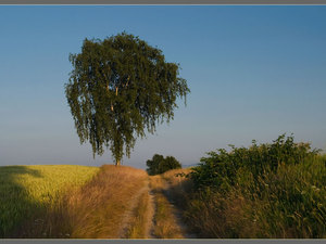 Zawidowskie pejzaże