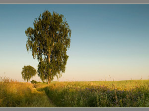 Zawidowskie pejzaże