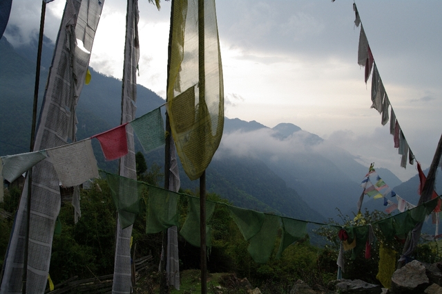 Tsokha