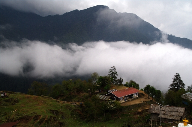 Tsokha
