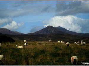 Mourne Mountains 4