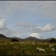 Mourne Mountains 11
