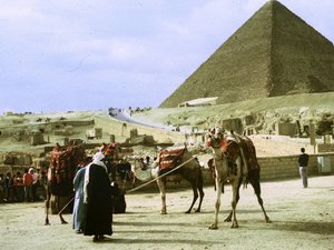 Giza ( الجيزة)