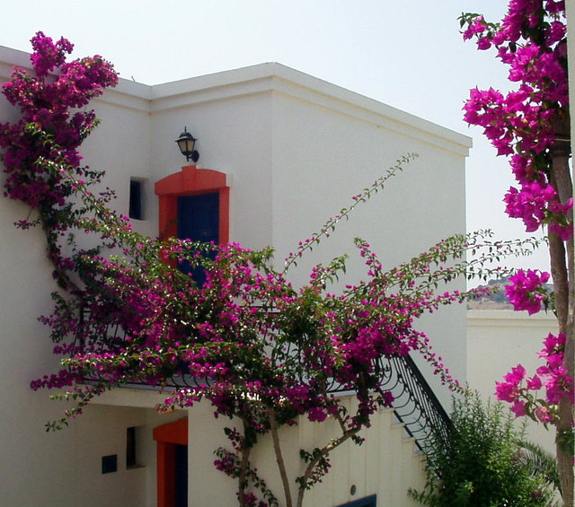Hotel w Bodrum