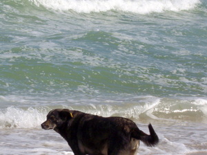 Na plaży w Warnie