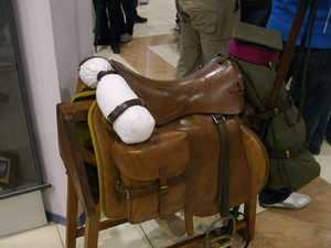 Imgp0815