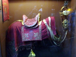 Imgp0901