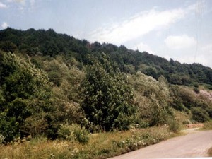 Bieszczady