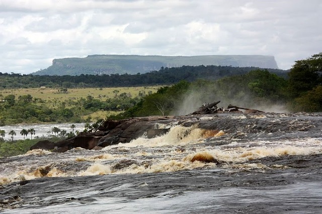 Rzeka Carrao - laguna Canaima, w tle tepui