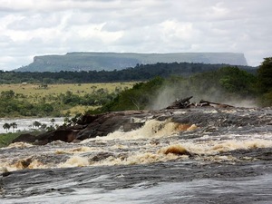 Rzeka Carrao - laguna Canaima, w tle tepui