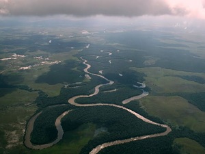 Żywa rzeka - Canaima