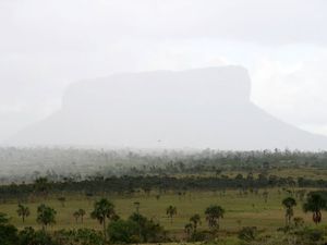 Tajemnicze tepui - Canaima