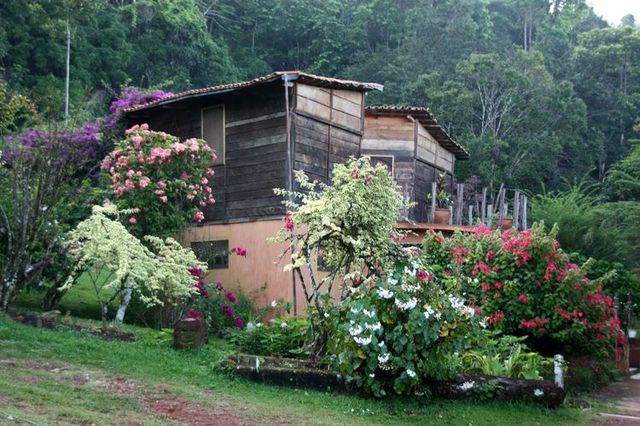Ogród w Santa Elena