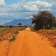 Boskie Tsavo Wschodnie