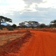 Boskie Tsavo Wschodnie