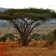Boskie Tsavo Wschodnie