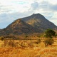 Boskie Tsavo Wschodnie