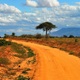 Boskie Tsavo Wschodnie