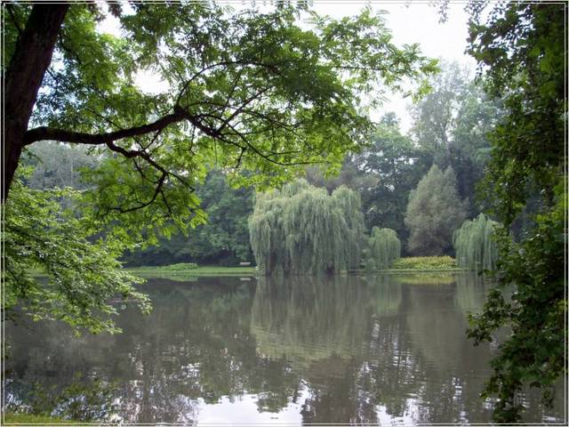 Królewski Park w Wilanowie