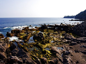 Azory 05