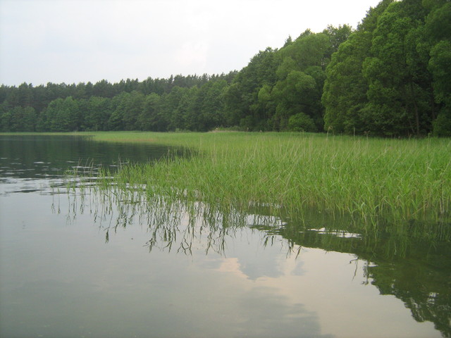 Jezioro Białe