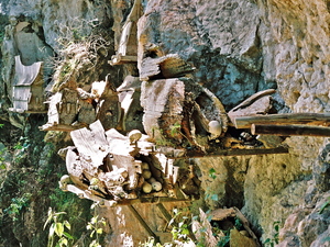 Drewniane groby, Celebes