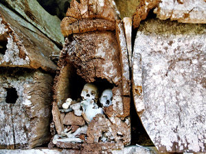 Drewniane groby, Celebes