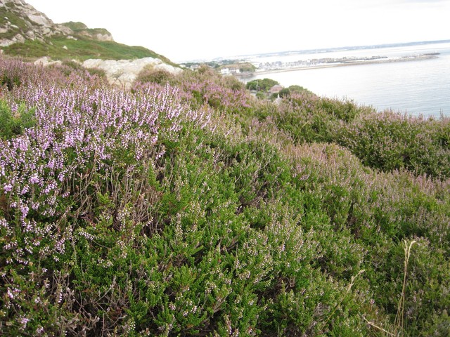 Howth