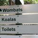 Wombats, koalas, toilets