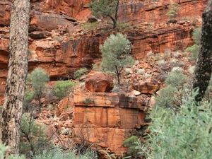 Red Centre