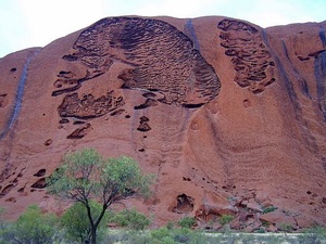 "Czaszka" na Uluru