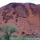 "Czaszka" na Uluru