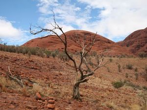 Kata Tjuta