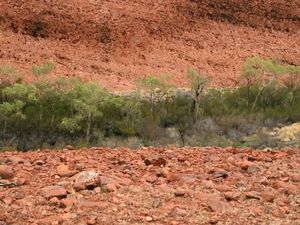 Kata Tjuta