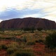 Uluru budzi się do życia