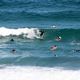 szkółka surferska - Bondi Beach