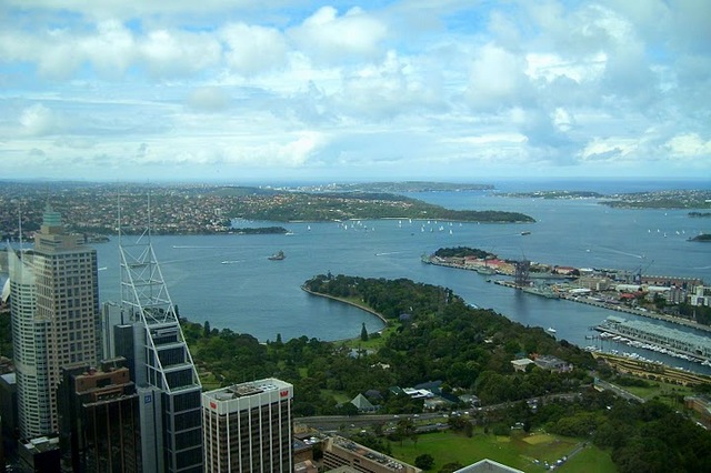 Widok na zatokę w Sydney
