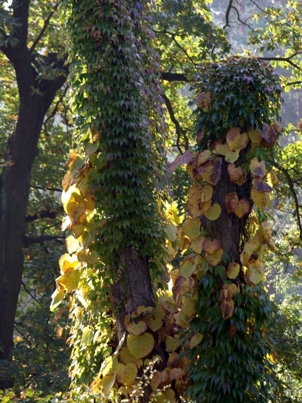 Wielkopolski  park narodowy 8