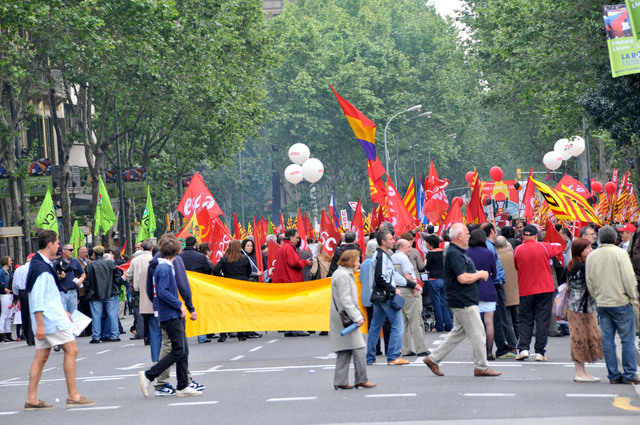 Dsc 2465