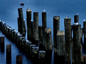 2010- Sopot  letnią nocą - budowa  mariny