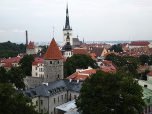 Tallin